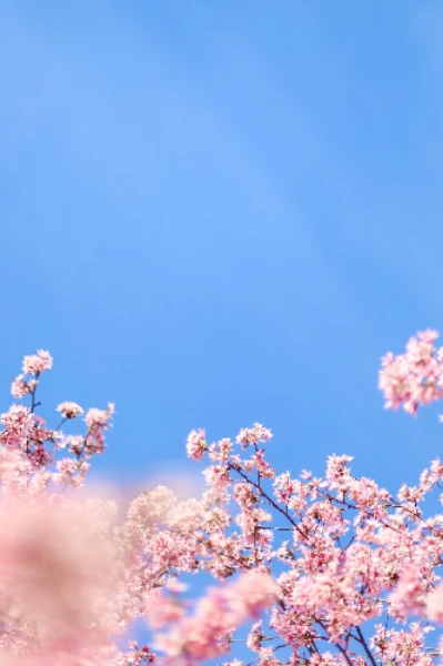 હેમંત ઋતુના Blue skyની કવિતા