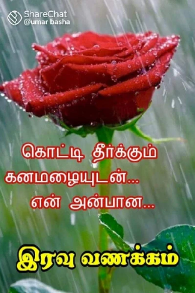 நல்ல இரவு வணக்கம்