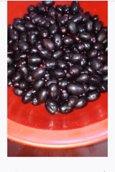 ഞാവൽ പഴം