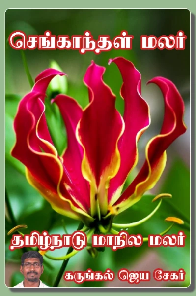 மாநில மலர்(செங்காந்தள் மலர்)