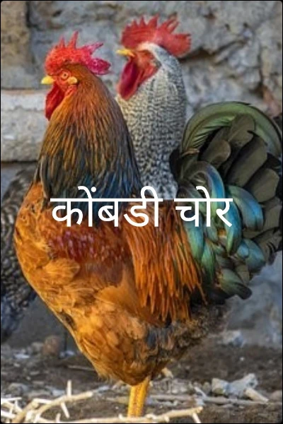 कोंबडी चोर