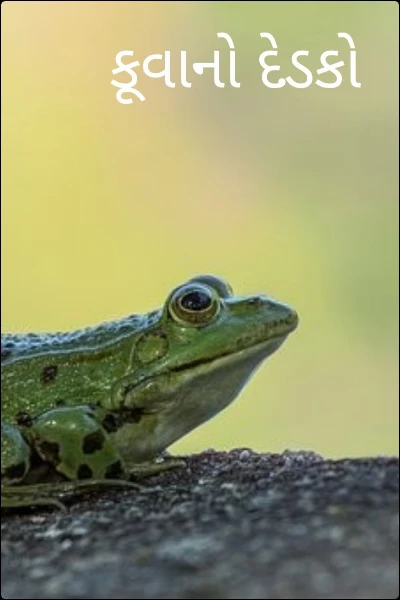 કૂવાનો દેડકો