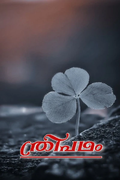 🍀🍀🍀