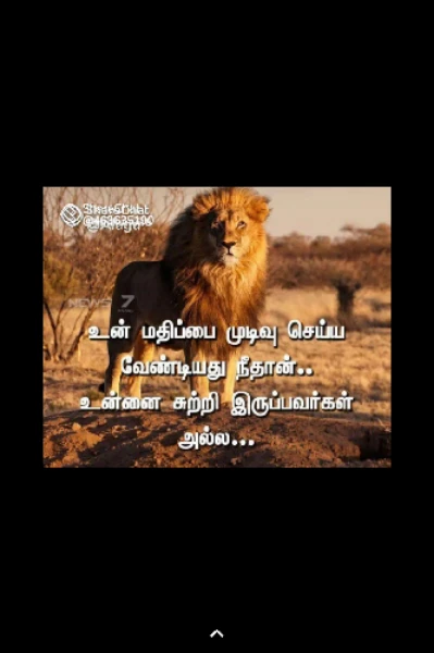 🦁சிங்க முகம்🦁