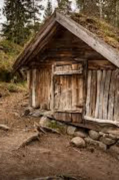 Apartment in the woods