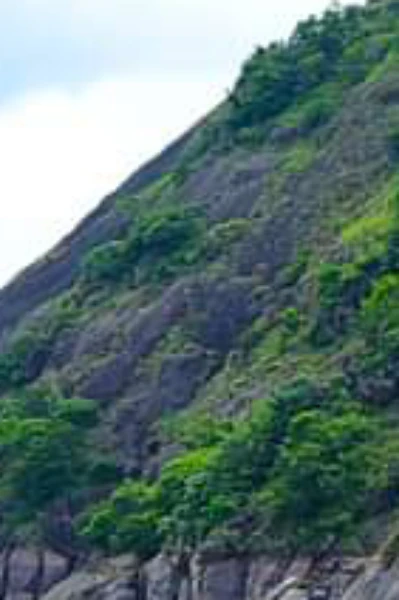 റെഡിജിനെ തേടി