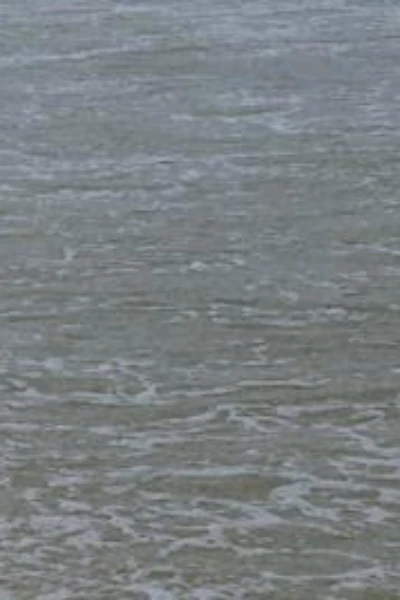 മിണ്ടില്ല