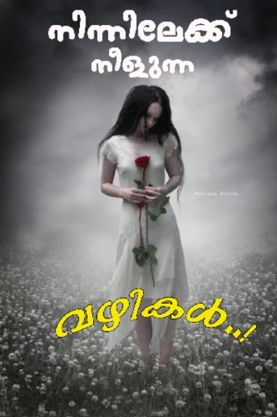 നിന്നിലേക്ക് നീളുന്ന വഴികൾ..!