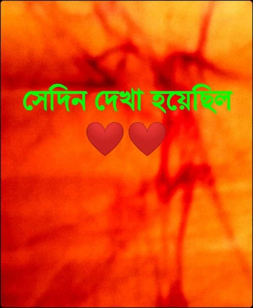 সেদিন দেখা হয়েছিল 💛💛