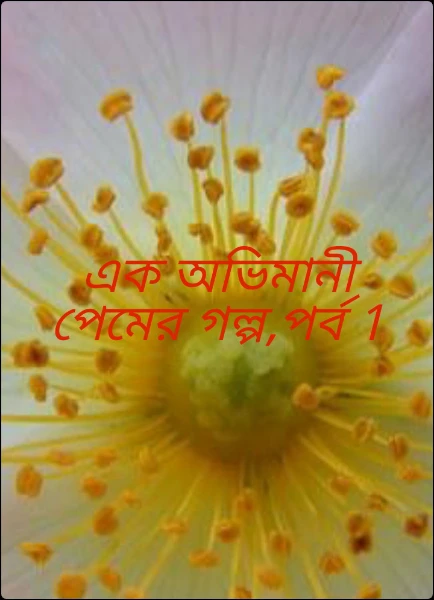 এক অভিমানী  পেমের গল্প,পর্ব 1