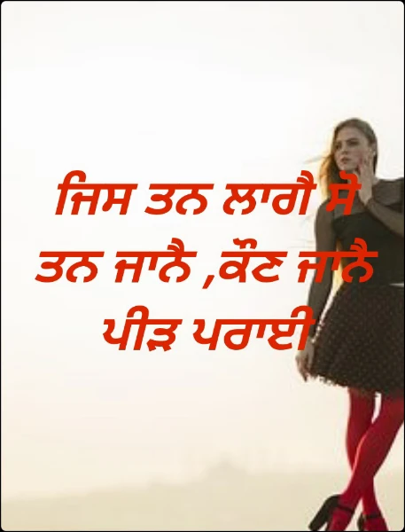 ਜਿਸ ਤਨ ਲਾਗੈ ਸੋ ਤਨ ਜਾਨੈ ,ਕੌਣ ਜਾਨੈ ਪੀੜ ਪਰਾਈ