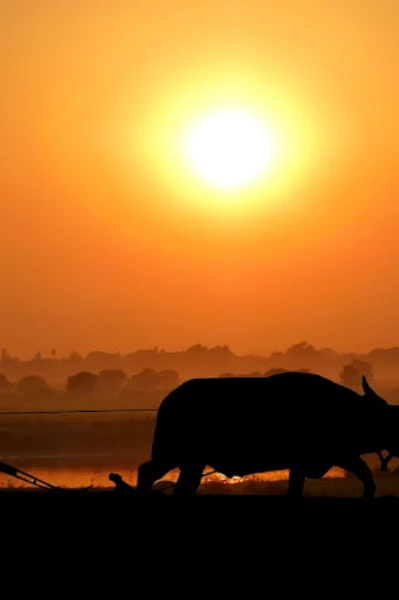 चतुर किसान - एक छोटी सी लोक कथा😆😀😁