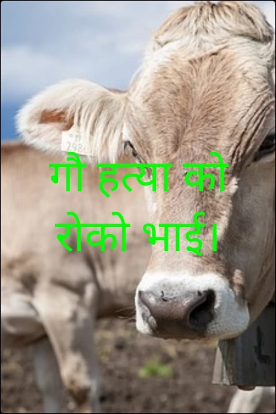 गौ हत्या को रोको भाई।