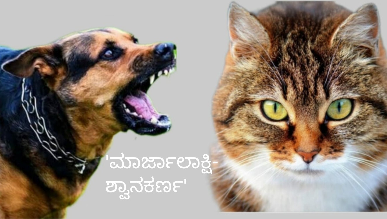 ಮಾರ್ಜಾಲಾಕ್ಷಿ-ಶ್ವಾನಕರ್ಣ