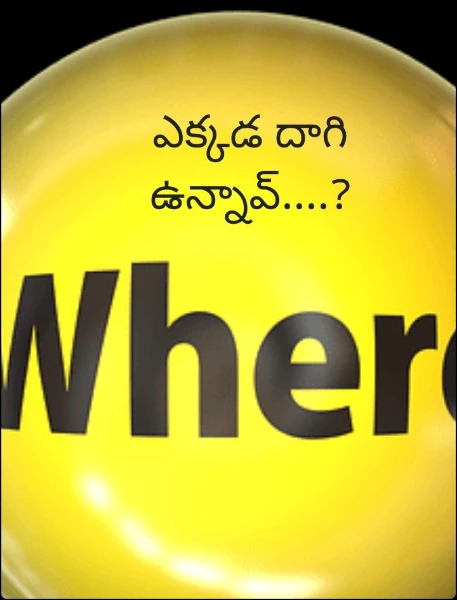 ఎక్కడ దాగి ఉన్నావ్....?