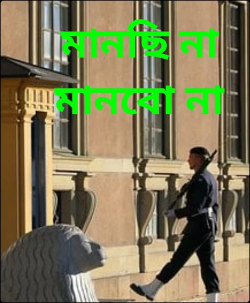 মানছি না মানবো না