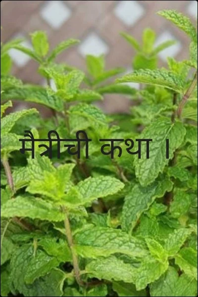 मैत्रीची कथा ।