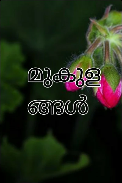 മുകുളങ്ങൾ