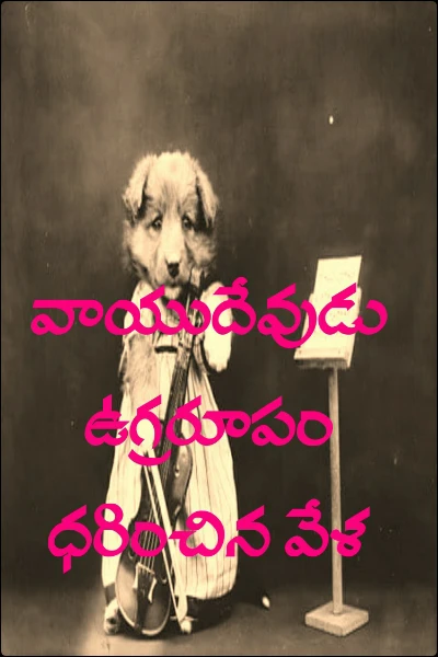 వాయుదేవుడు ఉగ్రరూపం ధరించిన వేళ
వ్యాసం