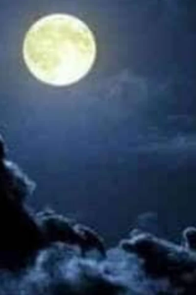 પોષી પૂનમ