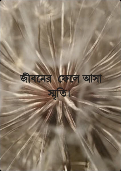 জীবনের  ফেলে আসা স্মৃতি।