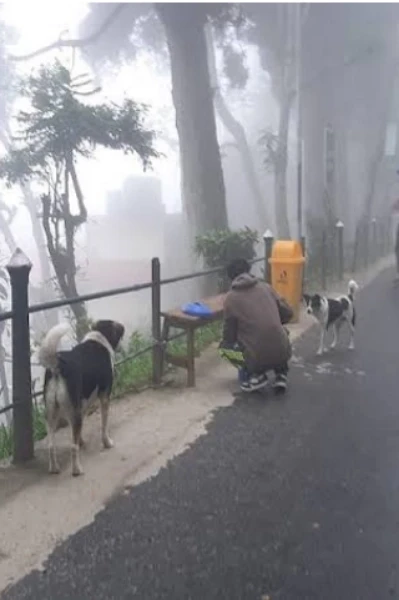 প্রথম পর্ব