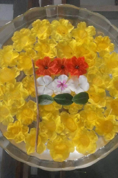 ઉત્તરાયણ