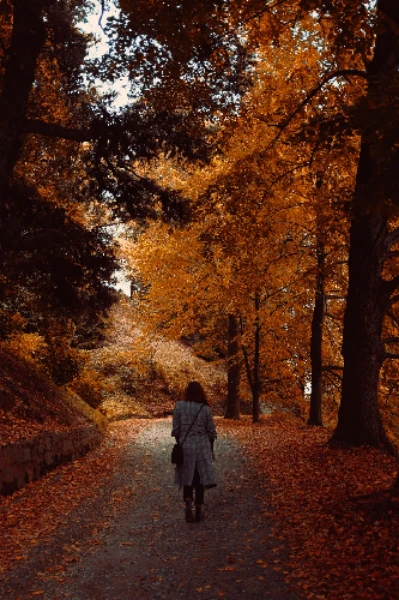 🍂❣️•••উপন্যাসের শেষ পাতা •••❣️🍂 পর্ব  ১....