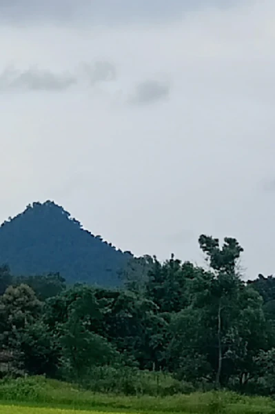 बसंत आया होगा