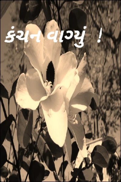 કંચન વાગ્યું  !