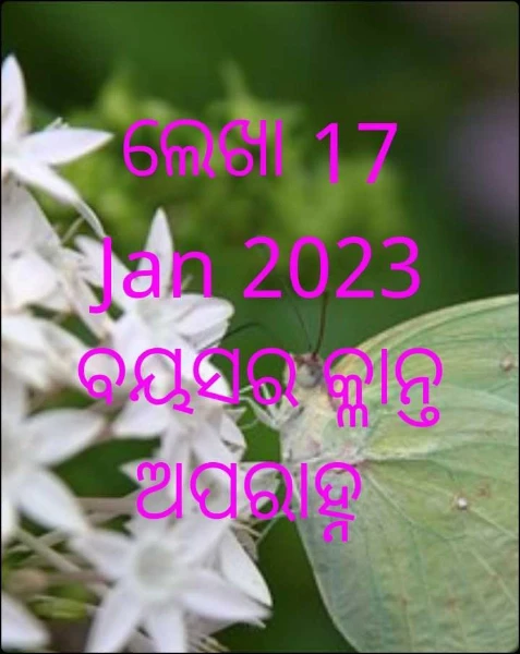 ଲେଖା 17 Jan 2023  ବୟସର କ୍ଳାନ୍ତ ଅପରାହ୍ନ