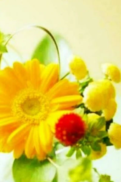🌺🌺झोल🌺🌺