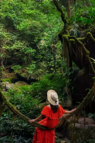 ഒളിവിലെ ഓർമകൾ