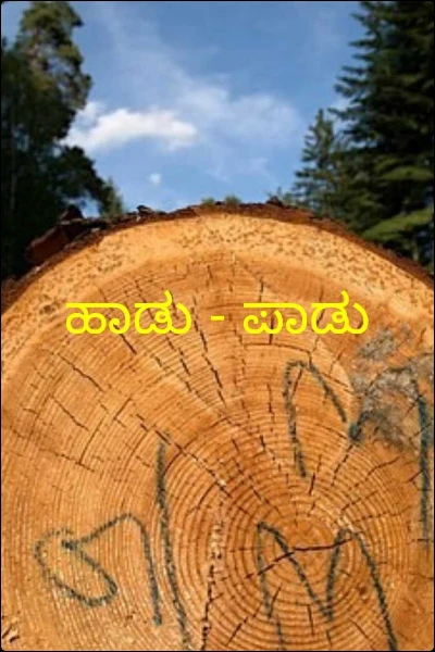 ಹಾಡು - ಪಾಡು