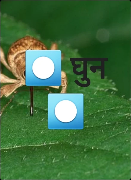 ⏺️ घुन ⏺️