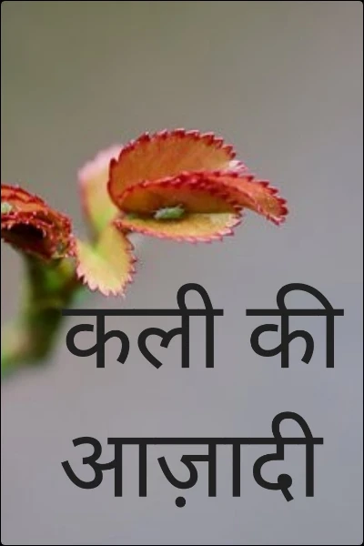 कली की आज़ादी
