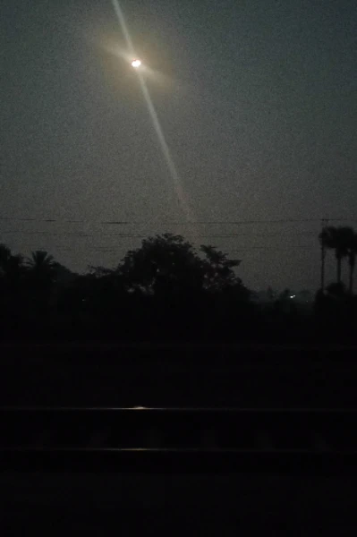 झींगुर