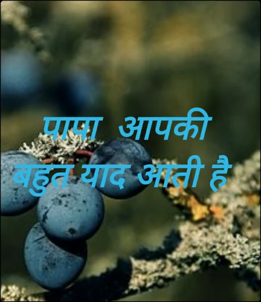 पापा  आपकी बहुत याद आती है