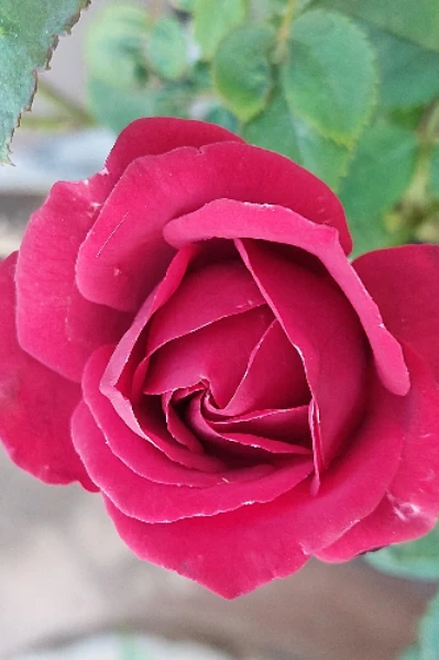 अंतरजाल इंटरनेट महासमुंदर की थोड़ी जानकारी