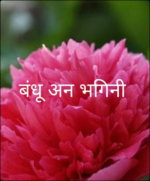 बंधू अन भगिनी
