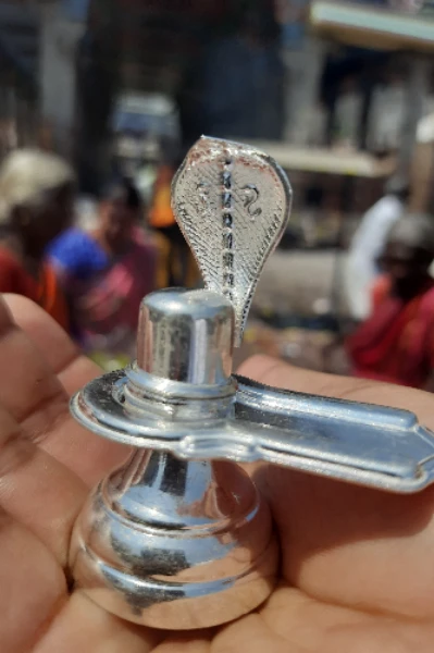 అరుణాచలేశ్వరుని అనుగ్రహం