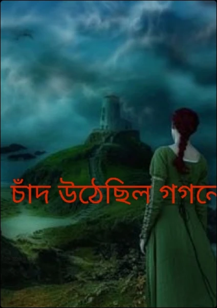 চাঁদ উঠেছিল গগনে