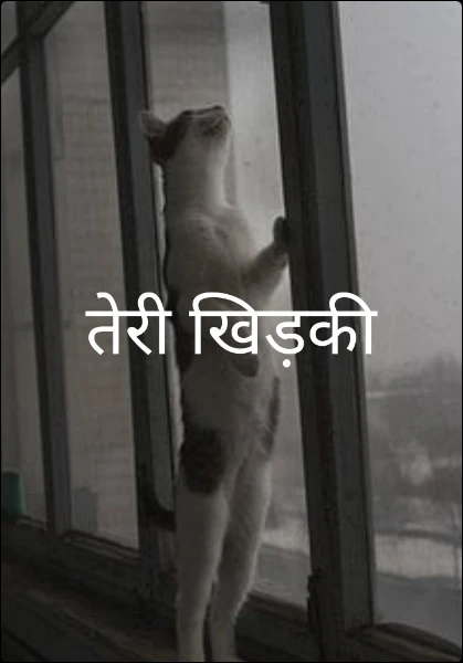 तेरी खिड़की
