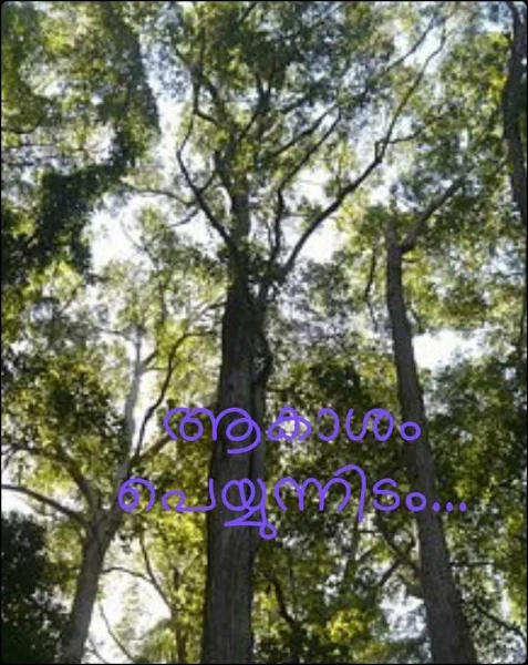 ആകാശം പെയ്യുന്നിടം...