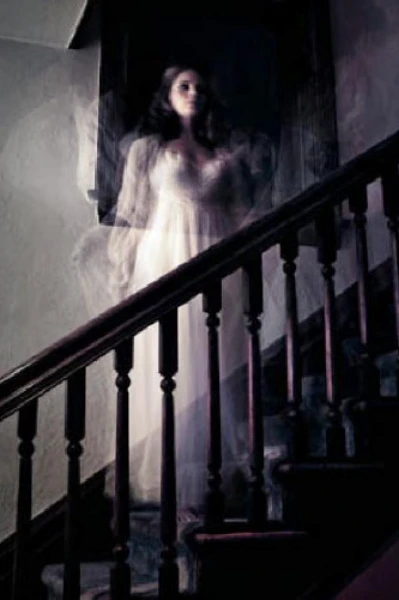 THE QUEEN OF DARKNESS