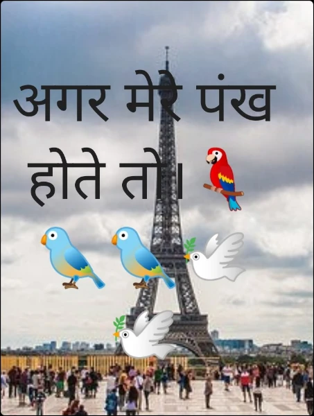 अगर मेरे पंख होते तो।🦜🐦🐦🕊️🕊️