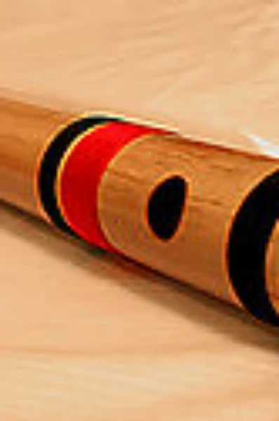 বিষের বাঁশী