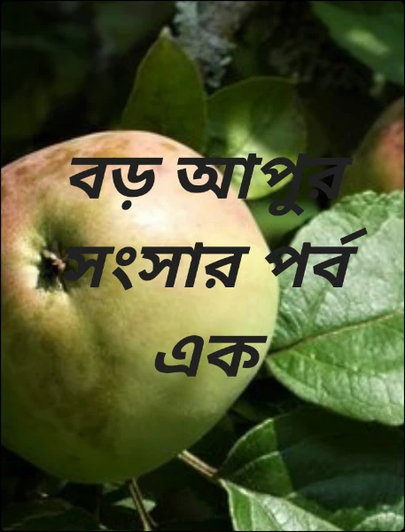 বড় আপুর সংসার পর্ব এক