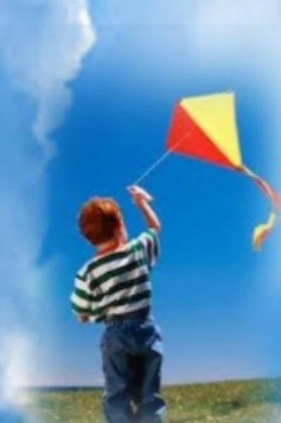 ಅಣ್ಣ ನು ಮಾಡಿದ ಗಾಳಿಪಟ