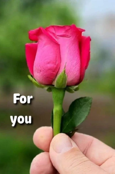 লেসবিয়ান